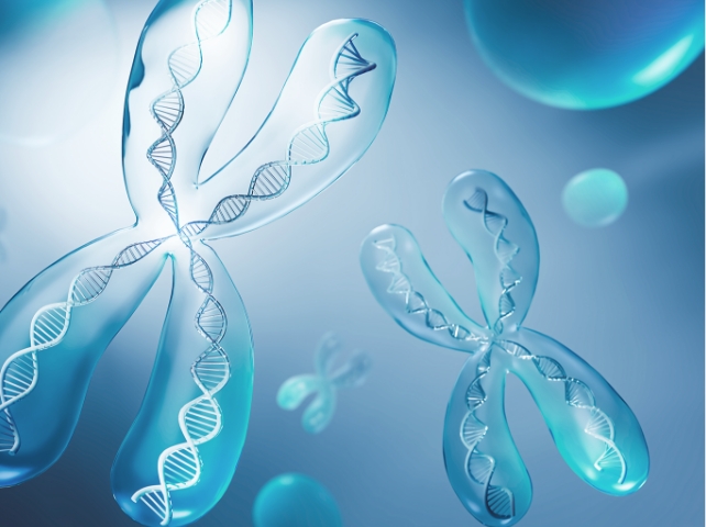 염색체 검사 이미지, 남성난임 유전적 원인 확인을 위한 DNA 염색체 분석과 정밀 유전자 검사를 표현한 의료 이미지