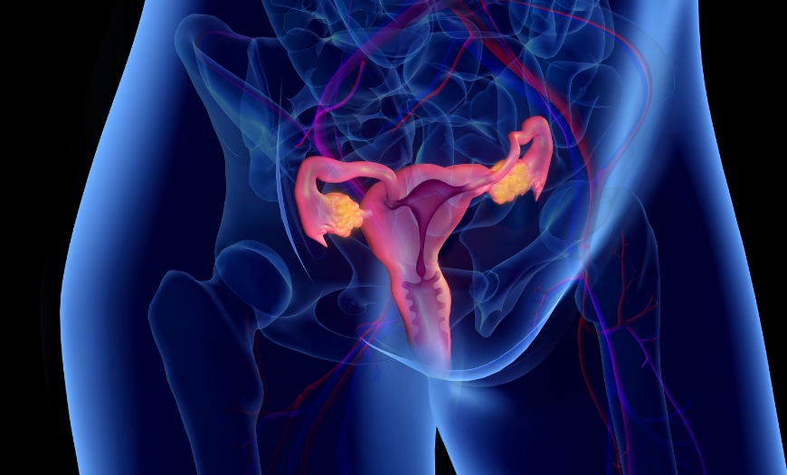 HPV PCR 검사 이미지, 인체 유두종 바이러스 검사로 자궁경부암·음경암·곤지름과 관련된 HPV 감염 여부를 확인하는 정밀 검사